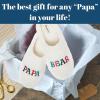 Dearfoams mens Matching Family Holiday Papa Bear Sherpa Lined Moc Toe With Embroidery Slipper(White)