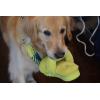 Dearfoams Women’s Fireside Benalla All Over Shearling Double Band Easy On/Off Slide Slipper(Apple Green)