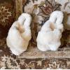 Fireside by Dearfoams womens Newcastle Crossband All Over Shearling Easy on/Off Slide(Cream)