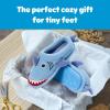 Dearfoams Kids’ Kids’ Toddlers Whimsical Animal Critter Washable Slipper(Blue)