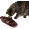 Dearfoams Kids’ Kids’ Toddlers Whimsical Animal Critter Washable Slipper(Cat)