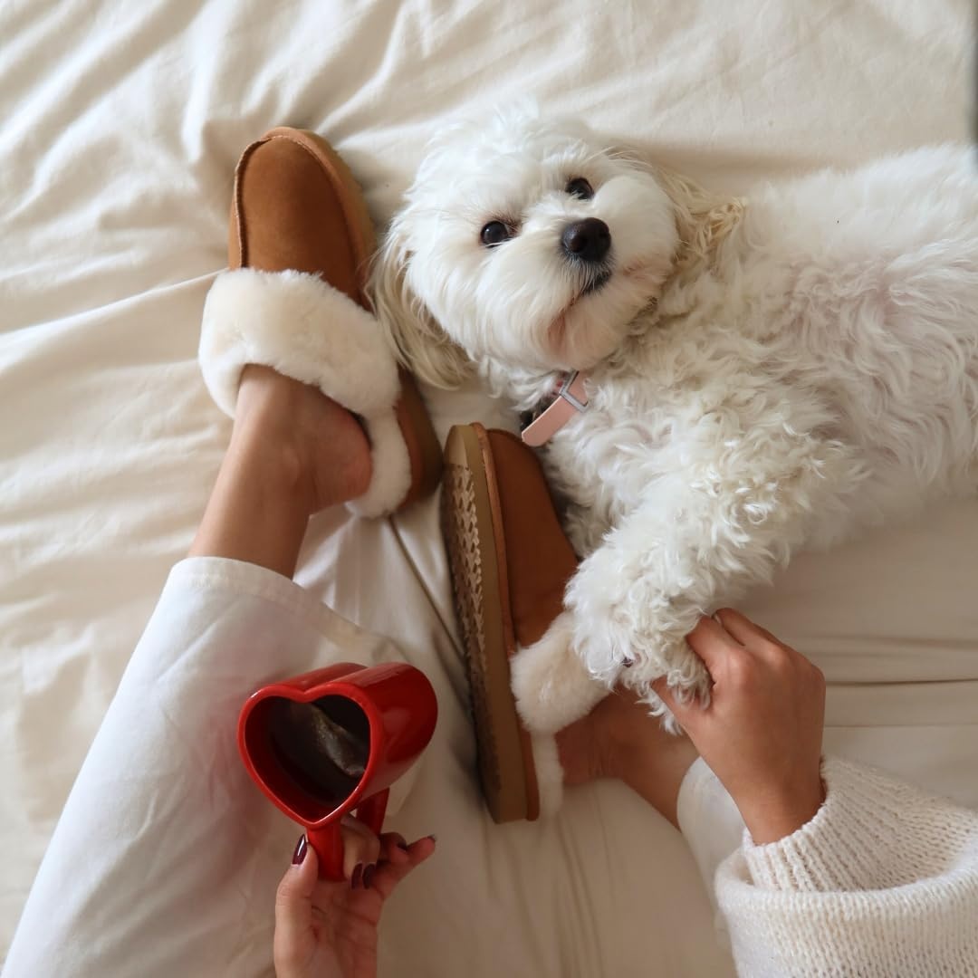 image:imageDearfoams Womens Sydney Shearling IndoorOutdoor Water Resistant Scuff SlipperChestnut