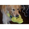 Dearfoams Women’s Fireside Benalla All Over Shearling Double Band Easy on/Off Slide(Apple Green)